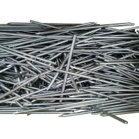 Glanzend gepolijste koploze nagel